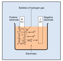 Cell Chemistry