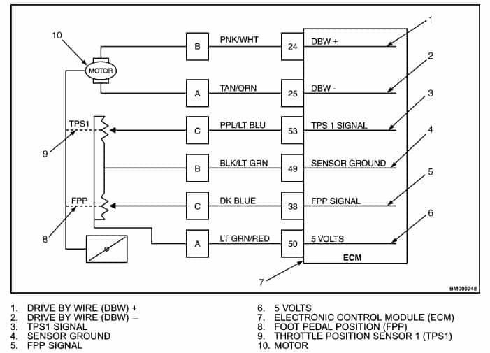 Hyster 3.0L GM Throttle Circuit